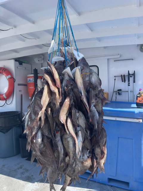 Double Eagle Deep Sea Fishing — photo 3