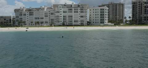 Mega Bite Dolphin Tours — photo 2