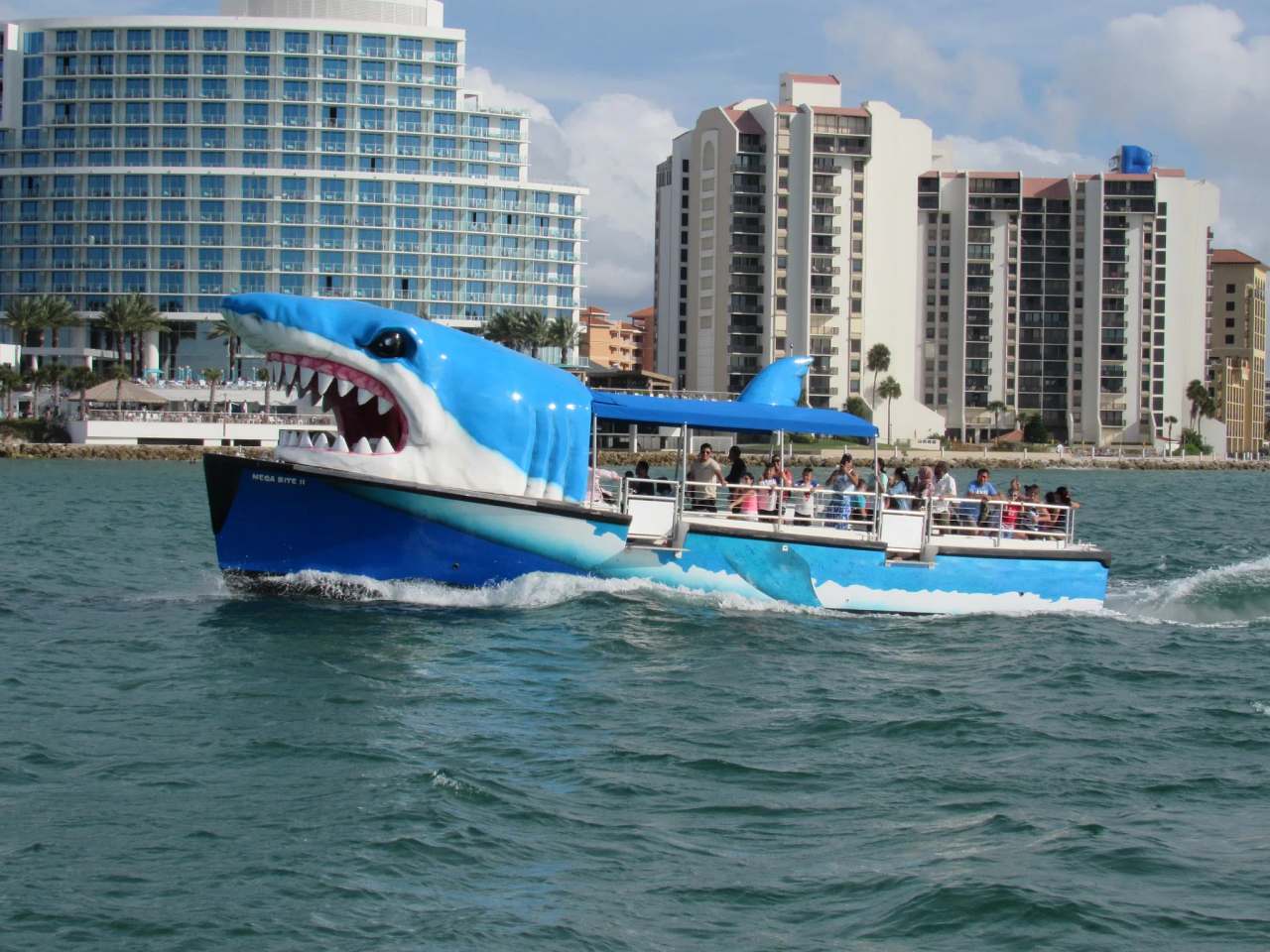 Mega Bite Dolphin Tours — photo 1