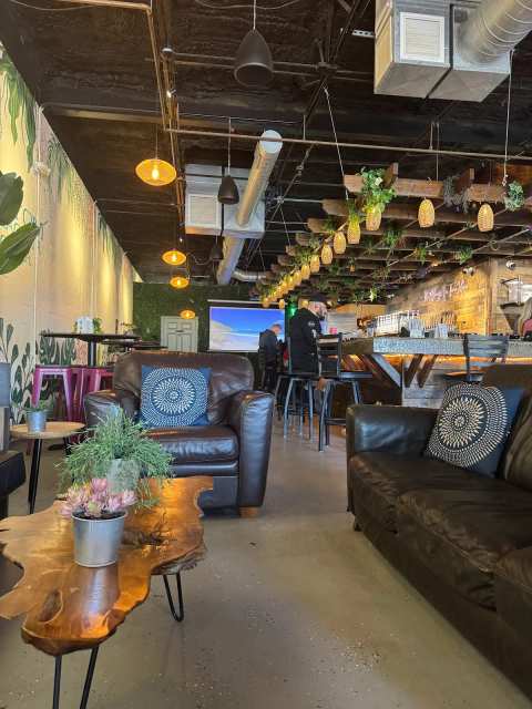 The Muddy Root Kava Cafe — photo 3